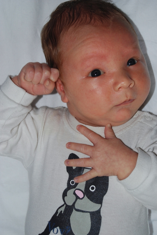 not the one for the passport.jpg